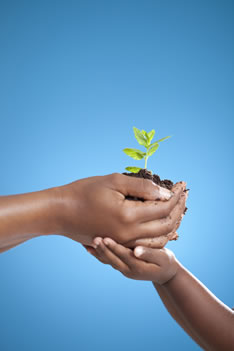 Legacy Society cover image - hands holding a plant